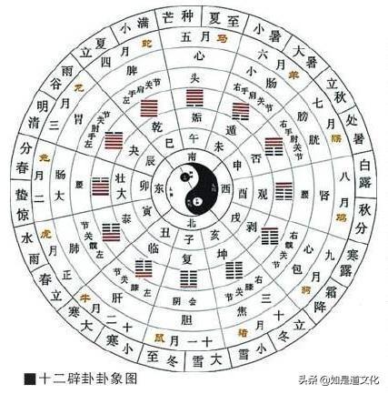 中国易学博大精深，而《周易》是易学体系的主流