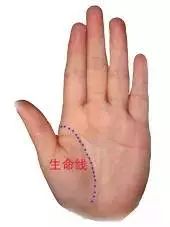 （李向东）手掌上常见的一般线与纹所代表
