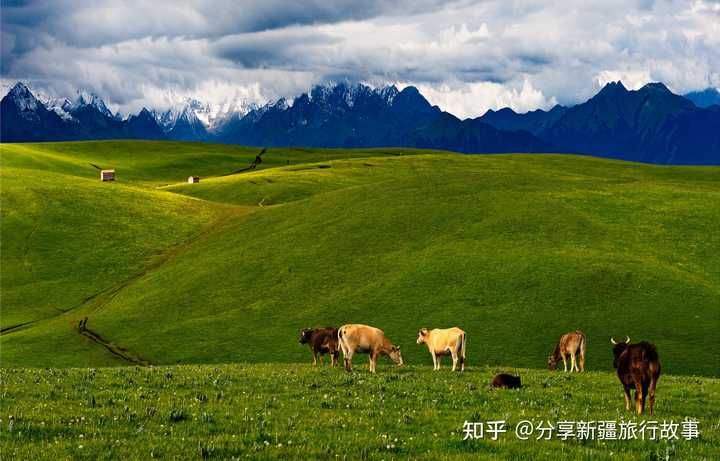 （蒙古记忆）伊犁旅游资源的古今解释及地名解释